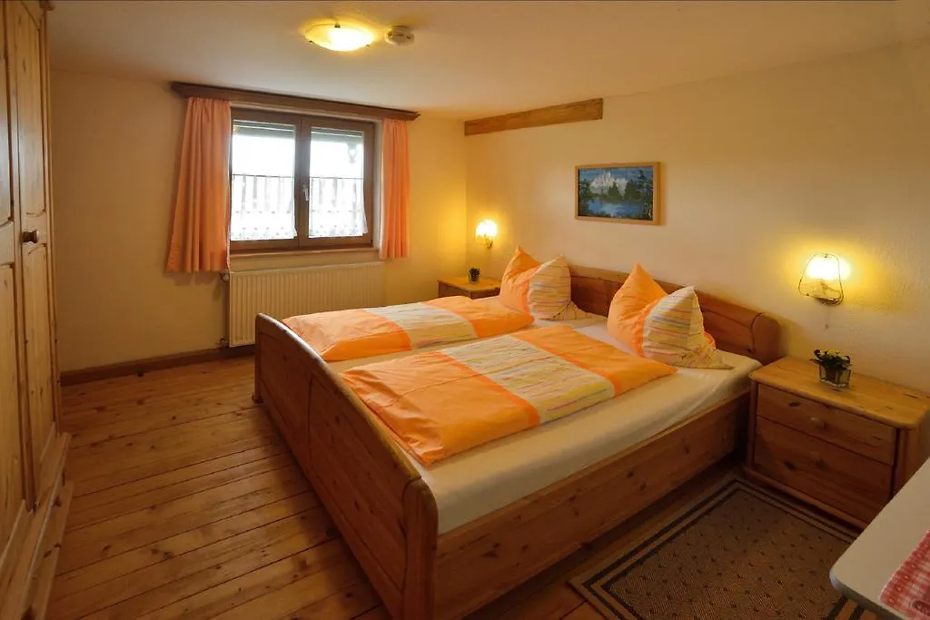 Apartmán Tannenhof Epple Opfenbach 0*,